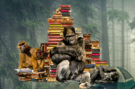 Małpy z książkami