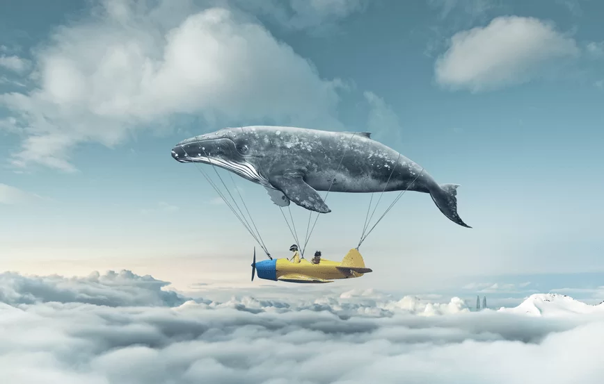 Wieloryb leci nad samolotem w obłokach