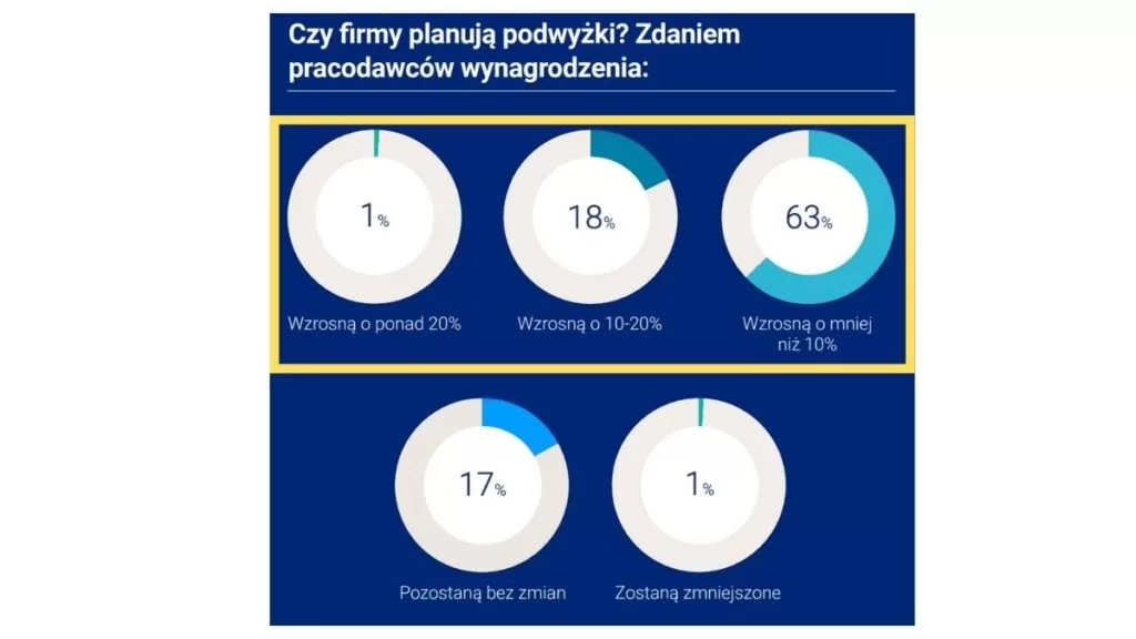Czy firmy planują podwyżki? Źródło: Raport płacowy firmy Hays Poland, 2024