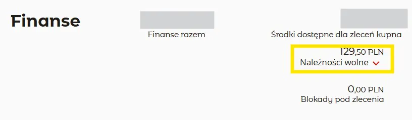Środki dostępne dla zleceń kupna Środki dostępne dla zleceń kupna