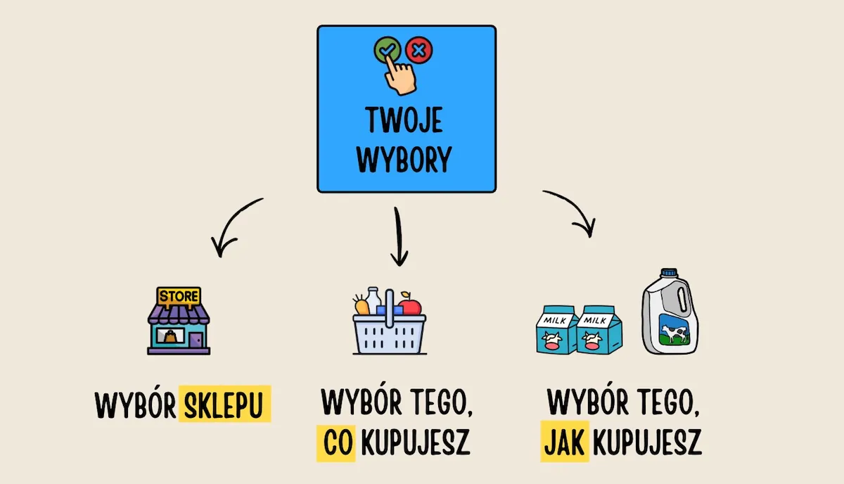 Twoje wybory