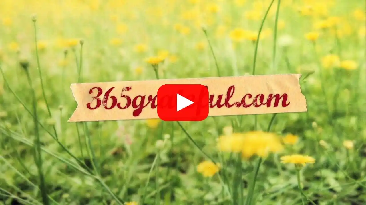 Film na YouTube: 365 grateful